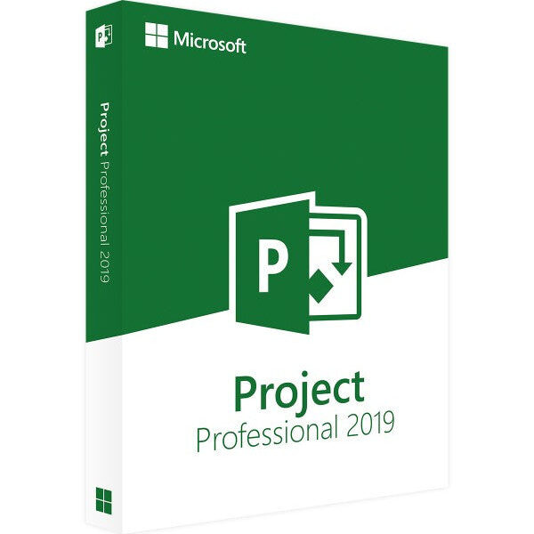 Project Professionnel 2019
