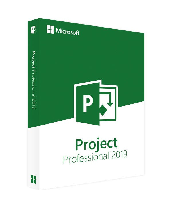 Project Professionnel 2019