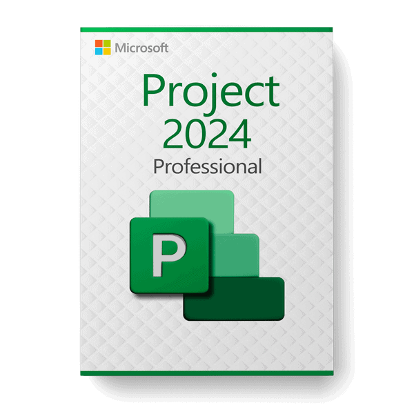 Project Professionnel 2024