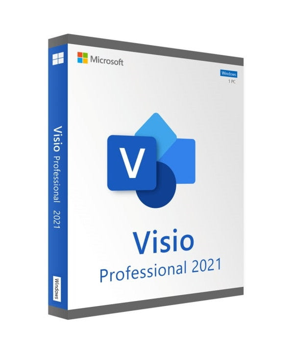 Visio Professionnel 2021